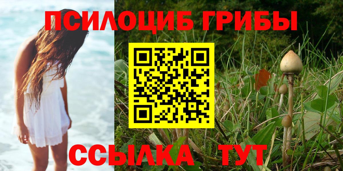 Йошкар-Ола  Псилоцибиновые грибы мицелий  Вход с VPN  Галлюциногенные грибы мухоморы 
